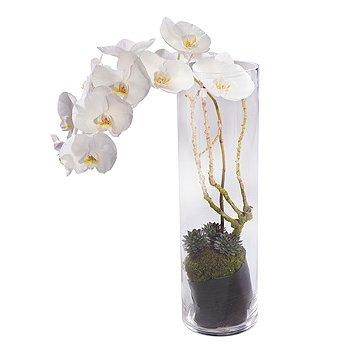 White Orchid Vase Arrangement.