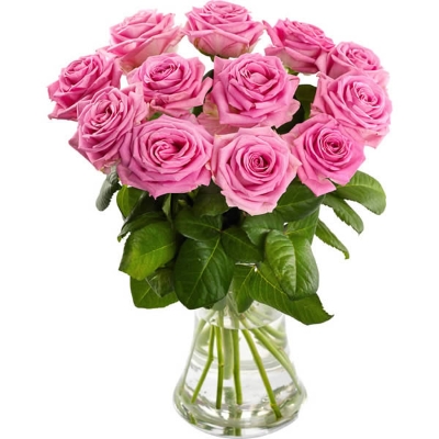 12 pink roses in vase