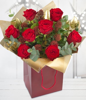 Christmas red roses.